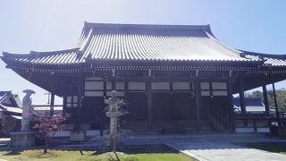 はちまんべついん梅と桜