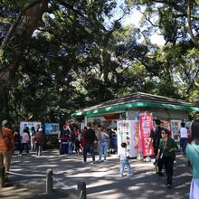 城山公園の展望所の広場