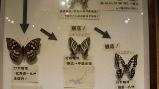 冬だったのでちょっと面白くなかったです