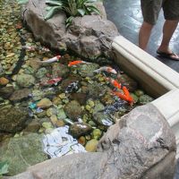 グランド ハイアット エラワン バンコク ホテル