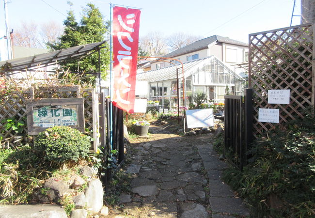 地元の園芸店です