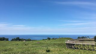 ヒグマに注意です