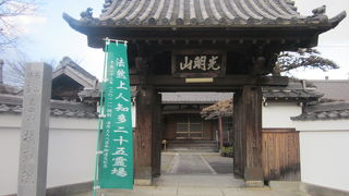 寺の銘木、イブキは裏側にありますのでご注意下さい…