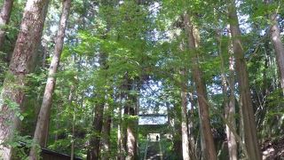 安楽寺は美しい