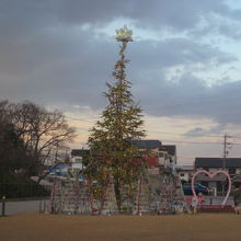 建物北側のクリスマスツリー、16時頃に点灯しました