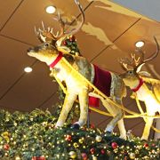 ドイツ大使館が後援する本格派クリスマスマーケット