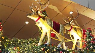 ドイツ大使館が後援する本格派クリスマスマーケット