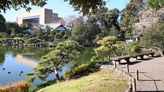 森林浴ができます。