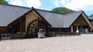 ダムを造るとその土地が潤うのね、という典型を見ました