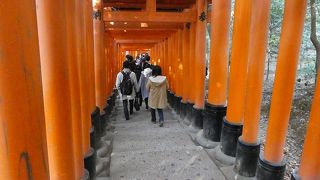 全部、見ようと思ったらたーいへん