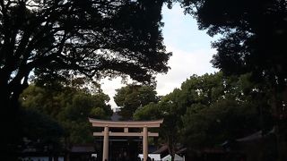 東京ドーム15個分