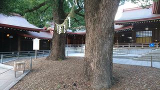 縁結びのパワースポット