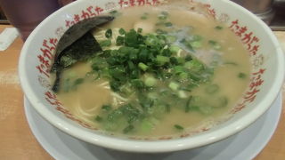 とんこつラーメン専門