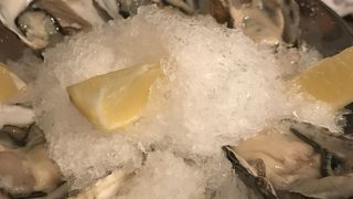 かき小屋 祐天寺