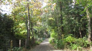 大名屋敷の面影はまったくありませんでした。