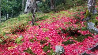 紅葉の時期が一番