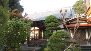 境内は庭木に溢れていて、本堂は半分隠れています。