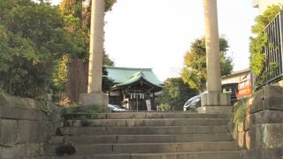 神木のイチョウの木が可哀想です。