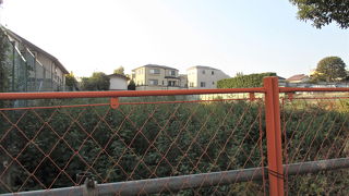 何も痕跡が見当たりませんでした。