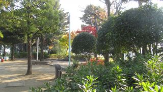 小さいながら秋色いっぱいでした。