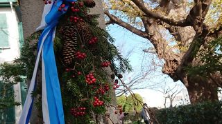 クリスマスの装い