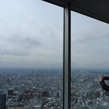 展望台からの眺め