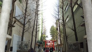 靖国道りに面して参道が有ります