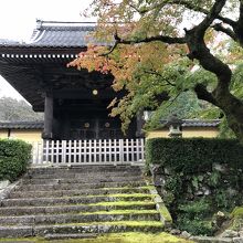 蓮華寺