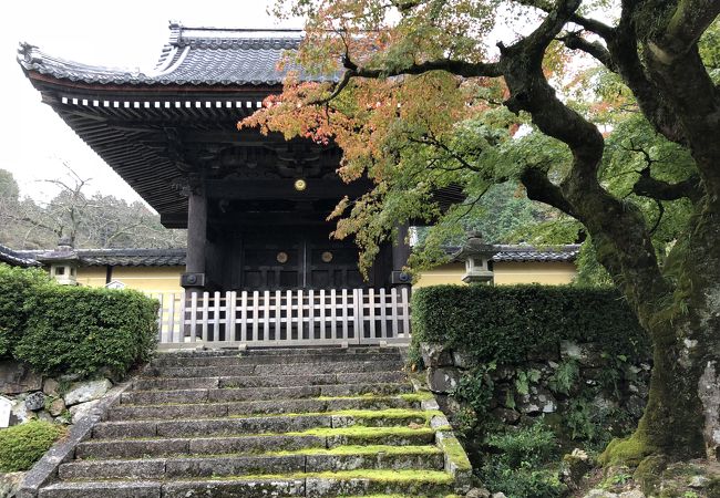 蓮華寺