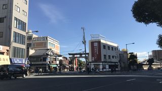 大きくて立派です