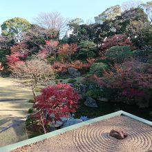 テラスから庭園を撮りました