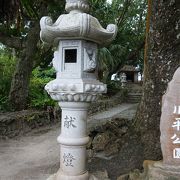 川平湾を見下す丘の上にある小さな公園。樹木が茂っています。