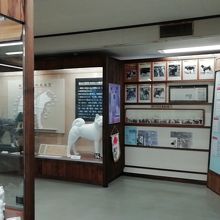 ３階有料展示室