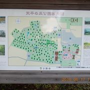 木陰も古墳もある公園