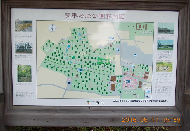 木陰も古墳もある公園