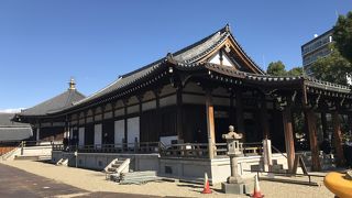 お掃除の日だったみたい