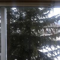 部屋の風景(事前説明なし)