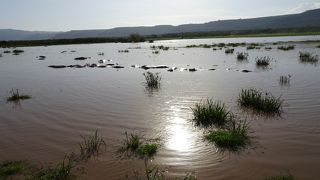 自然豊かな湖が命を育む
