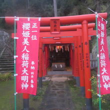 本殿のすぐ脇にある”櫻姫美人稲荷大明神”の様子