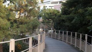 景色がよく休憩ポイントもある木道