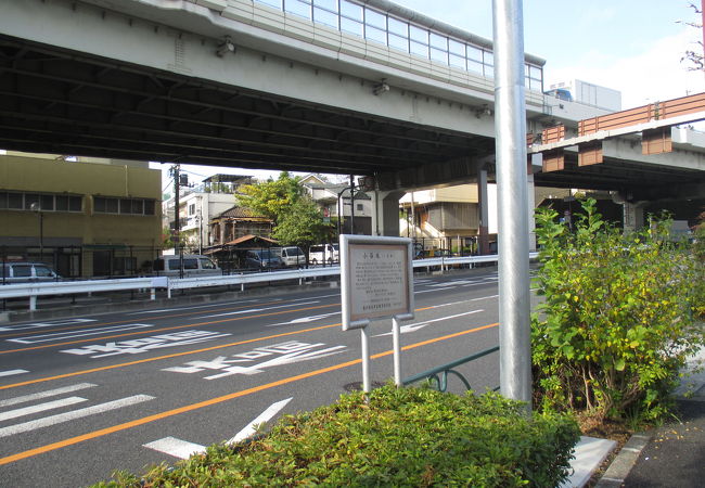 護国寺の墓地の横を走っています。