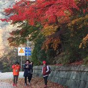 ソウル市観光プログラム「ソウルウォーキングツアー・南山城郭コース」で、久々に訪れました