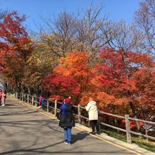 南山公園 