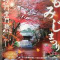 古都の風景    12月の散り紅葉