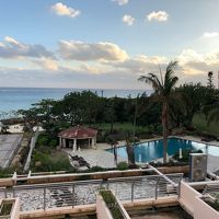 夏はきっと最高でしょう