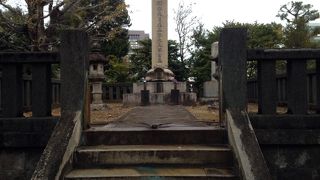 亀みたいなのに乗っている