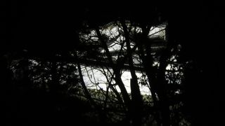 冬のライトアップ