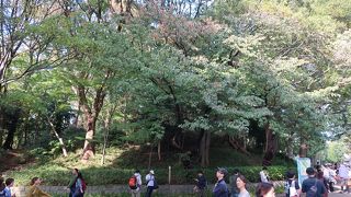 古墳だったとは