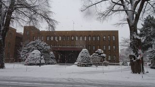 正門入ってすぐ