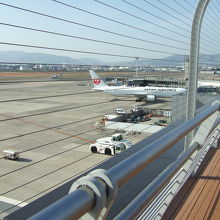 ワイヤー柵の間隔が狭いです